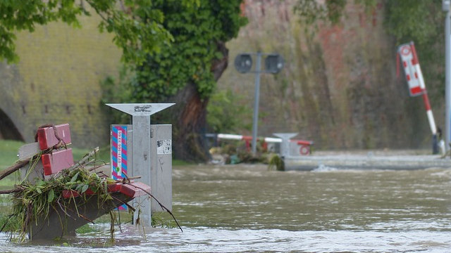 災難中是神保守了我們全家