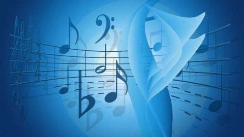 環境,聲音,土壤,供應,萬物,創造