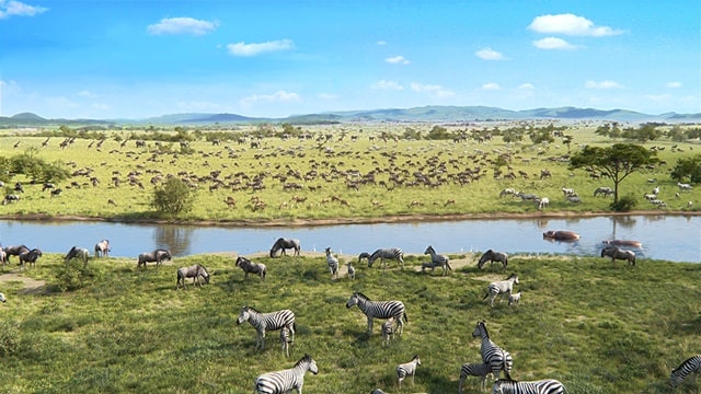 第二項 神為各種生物制定了界限