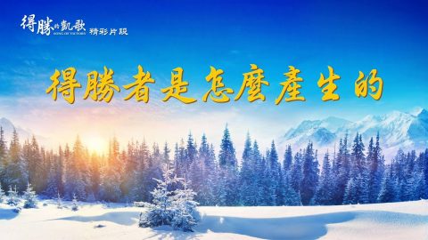 得勝者是怎麼產生的