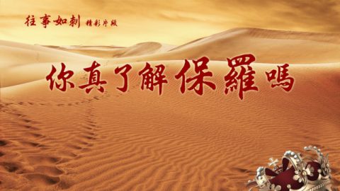 《往事如刺》精彩片段：你真了解保羅嗎