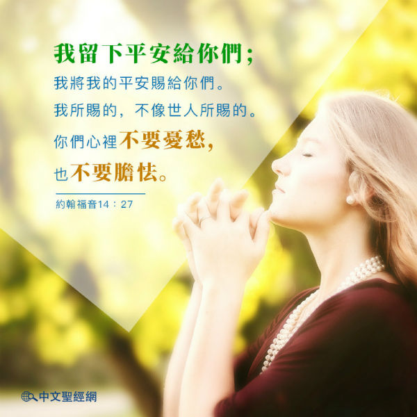 聖經卡片,平安,禱告