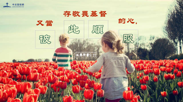 16句關于順服的聖經經文
