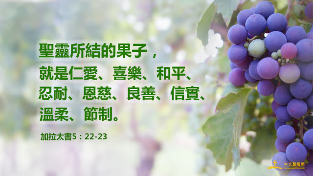 聖靈的果子
