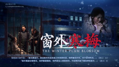 窗外寒梅