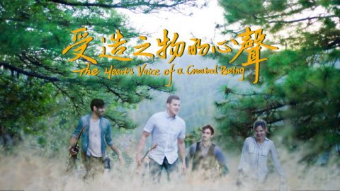 受造之物的心聲