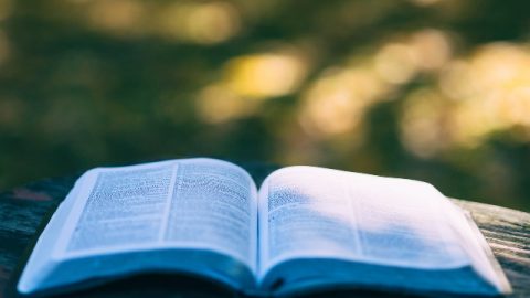 聖經裡都是神的話嗎？