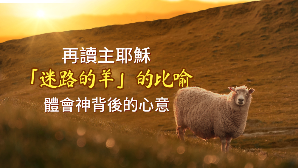 再讀主耶穌「迷路的羊」的比喻，體會神背後的心意