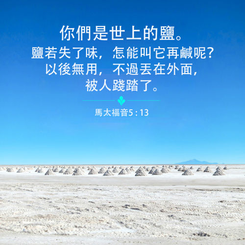 馬太福音,世上的鹽