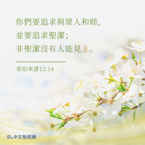 希伯來書12：14-靈修經文