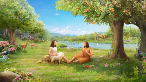 亞當和夏娃在伊甸園生活