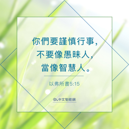 以弗所書5：15-靈修經文