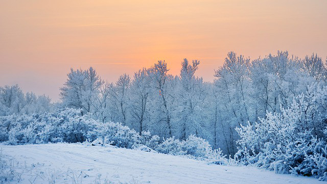 冬天,雪景