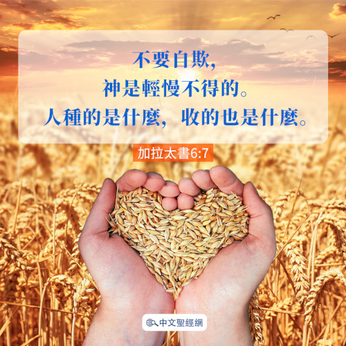 加拉太書6：7-靈修經文