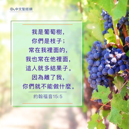 約翰福音15：5-靈修經文
