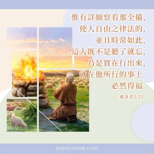 雅各書1：25