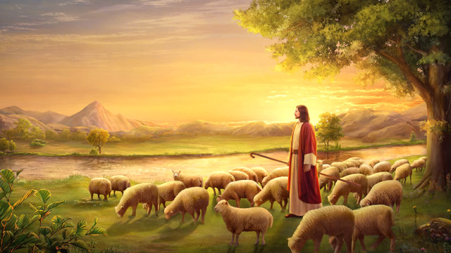 主耶穌,羊群