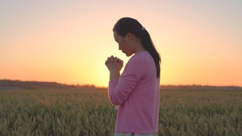 基督徒站在麥田邊向神獻上真心的禱告不管中共怎麼壓迫都堅決跟隨神走到底