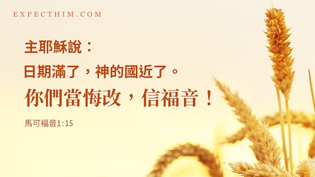 成熟的麥子圖片上寫着傳福音經文:「日期滿了,神的國近了。你們當悔改,信福音!」