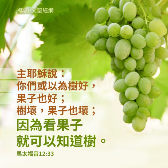 你們或以為樹好,果子也好;樹壞,果子也壞;因為看果子就可以知道樹。