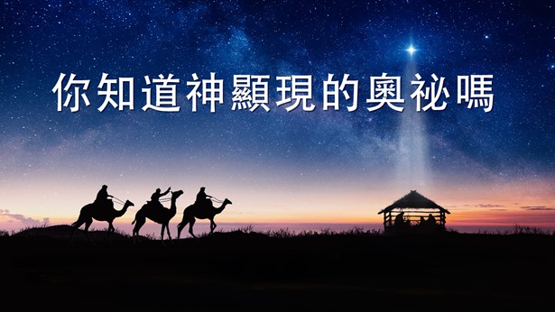 你們談到,聖經裏預言最多的就是神末世要來作審判工作,在聖經裏提到神來施行審判的話至少有二百多處,這完全屬實。《彼得前書》4章17節説得就更清楚了:「因為時候到了,審判要從神的家起首。」看來神末世作審判工作這是肯定的,但你們見證神末世是道成肉身來作審判工作,這和我們的領受不同,我們認為末世主再來是以主耶穌復活後的靈體向人顯現作工,這也是宗教界多數人的觀點。對于主再來以道成肉身的方式向人顯現作工這個問題,我們還看不透,請你們交通交通吧。