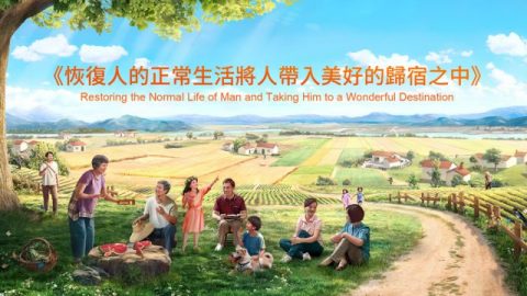 田間地頭在樹下休息的群