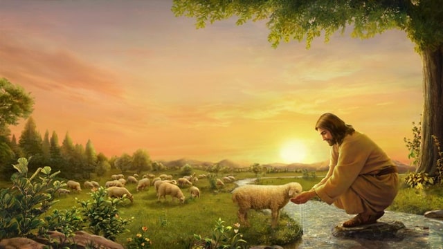 耶穌給小羊喂水喝
