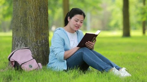 姊妹坐在樹下的草坪上讀神的話語