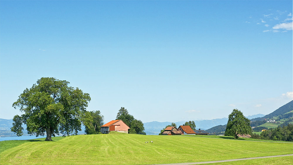神拯救什麽人，淘汰什麽人？