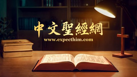 線上聖經-聖經和合本-聖經查詢 - 中文聖經網
