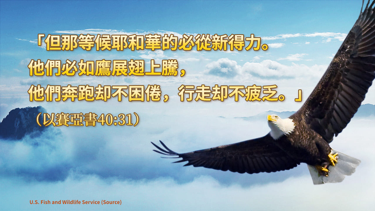 以賽亞書40章31節——等候神的人必不至疲乏